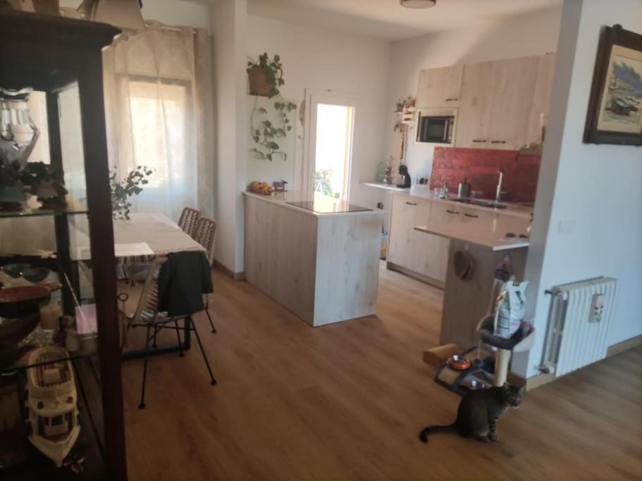 פאלאפרוג'ל Habitacion Doble מראה חיצוני תמונה